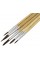 Набір пензлів 5 шт CoolForSchool (2,4,6,8,10) (24) CF60824