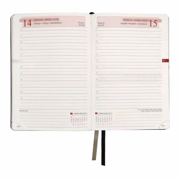 Щоден. A5 "Leo Planner" дат2023 184арк. Destiny тв. обкл., синій №252370(10)(20)