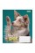 Зошит 12 аркушів лінія 1 Вересня Dog Loyality (25) (500) 765418