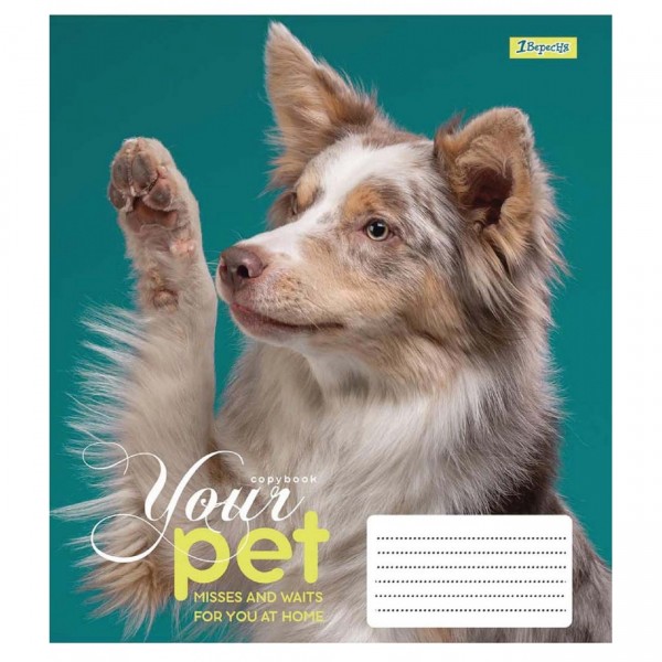 Зошит 12 аркушів лінія 1 Вересня Dog Loyality (25) (500) 765418