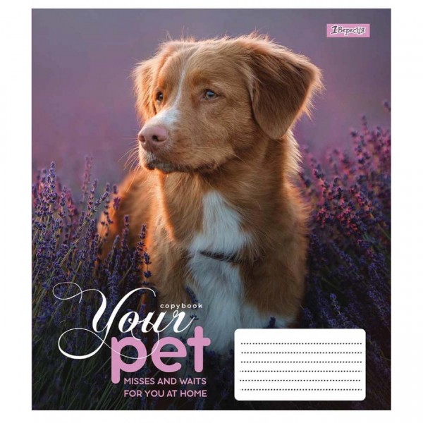 Зошит 12 аркушів лінія 1 Вересня Dog Loyality (25) (500) 765418