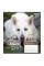 Зошит 12 аркушів лінія 1 Вересня Dog Loyality (25) (500) 765418