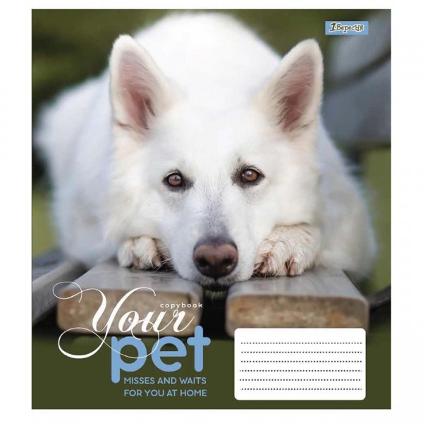 Зошит 12 аркушів лінія 1 Вересня Dog Loyality (25) (500) 765418