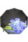 Парасолька жін. автомат "Rain Flowers" хустинка,в кор-ці №1020(12)(48)