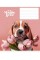 Зошит 24арк. кліт. Star "It's a magic love" ВД-лак №024-3300K(25)(200)