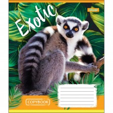 Тетрадь 12 листов линия 1 Вересня Exotic animal (25) (500) 764473