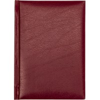 Щоден. А6 "Economix" недат. лін. Allegra червоний №21866-03 (20)