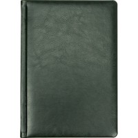 Щоден. A5 "Economix" недат. Nebraska зелений №22029-04(20)