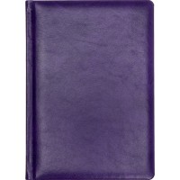 Щоден. A5 "Cabinet" недат. Fantasy №О25468-12 фіолетовий(10)