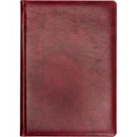 Щоден. А5 "Cabinet" недат. лін. Fantasy бордовий №О25468-18(20)
