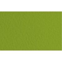 Папір кольоровий А4 160 г/м2 пастель REY Adagio Pistachio 33 фісташковий (250) (1250)