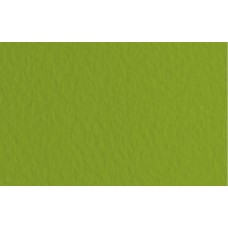 Папір кольоровий А4 160 г/м2 пастель REY Adagio Pistachio 33 фісташковий (250) (1250)