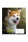 Зошит 12 аркушів лінія 1 Вересня Dog Loyality (25) (500) 765418