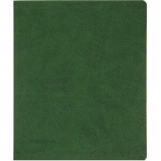 Щоденник шк. шкірзам. B5 "CoolForSchool" №CF29935-04 з тисненням 48арк,зелений(40)