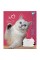 Зошит 12арк. лін. YES Adventurous cats №766539(25)(500)