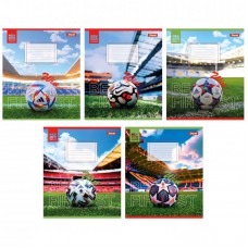 Зошит 24арк. кліт. 1В Win №767008(20)(320)