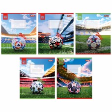 Зошит 48арк. кліт. 1В Win №767101(10)(200)