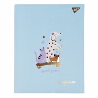 Щоденник шк. A5 тв.обкл. "Squed goals" №911517/Yes/(20)